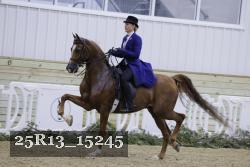 25R13_15245 proof