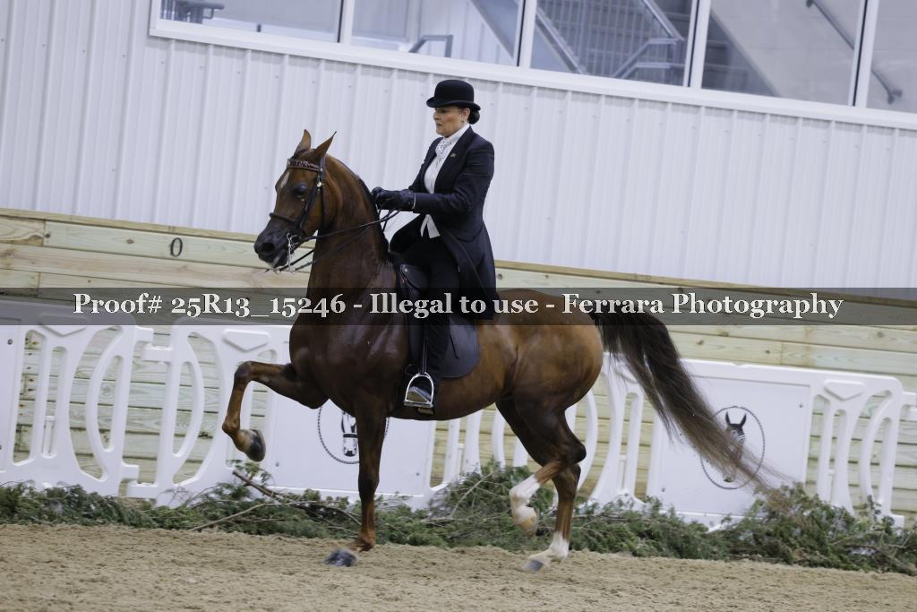 Proof 25R13_15246
