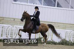 25R13_15246 proof