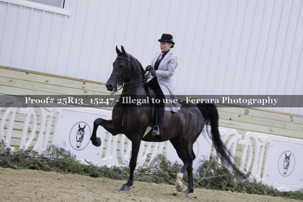 Proof 25R13_15247