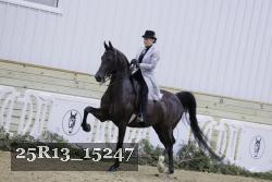 25R13_15247 proof