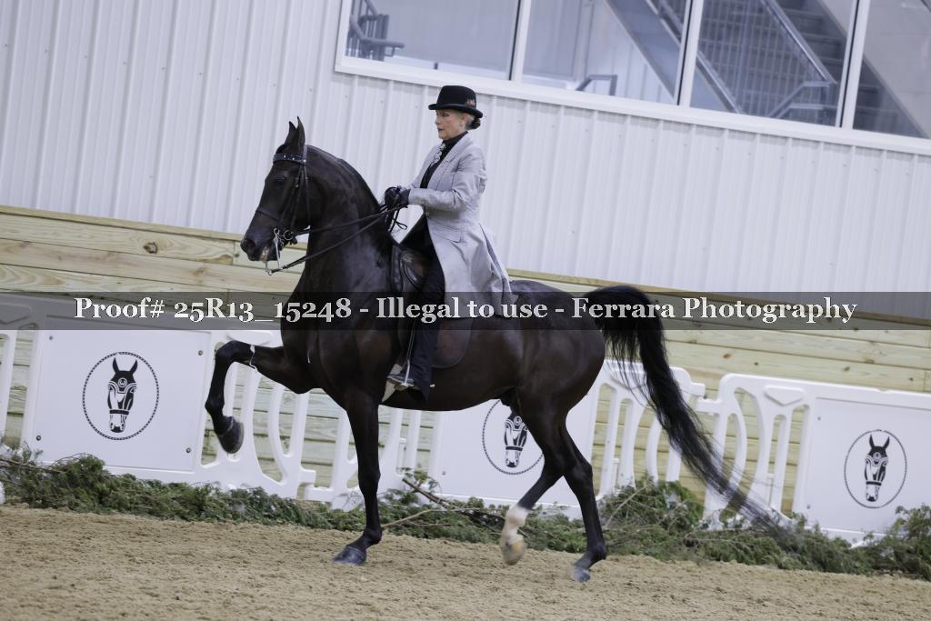 Proof 25R13_15248