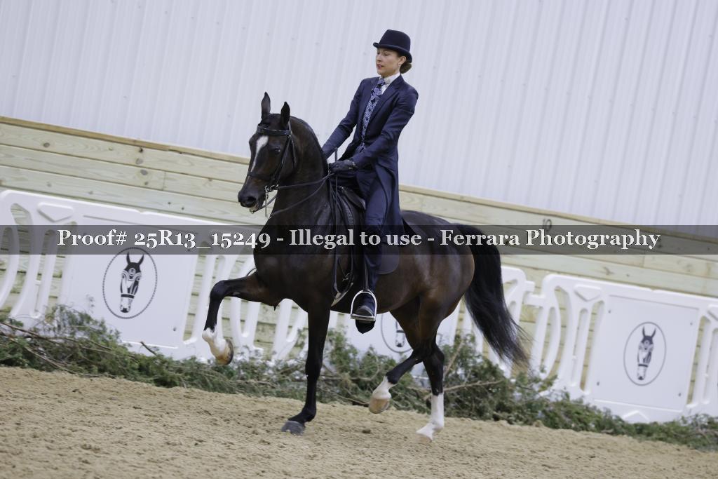 Proof 25R13_15249