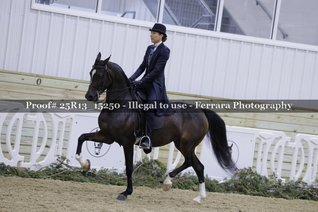 Proof 25R13_15250