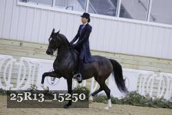 25R13_15250 proof