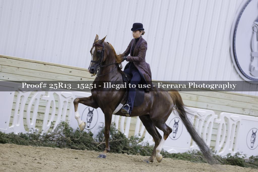 Proof 25R13_15251