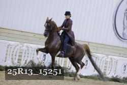 25R13_15251 proof