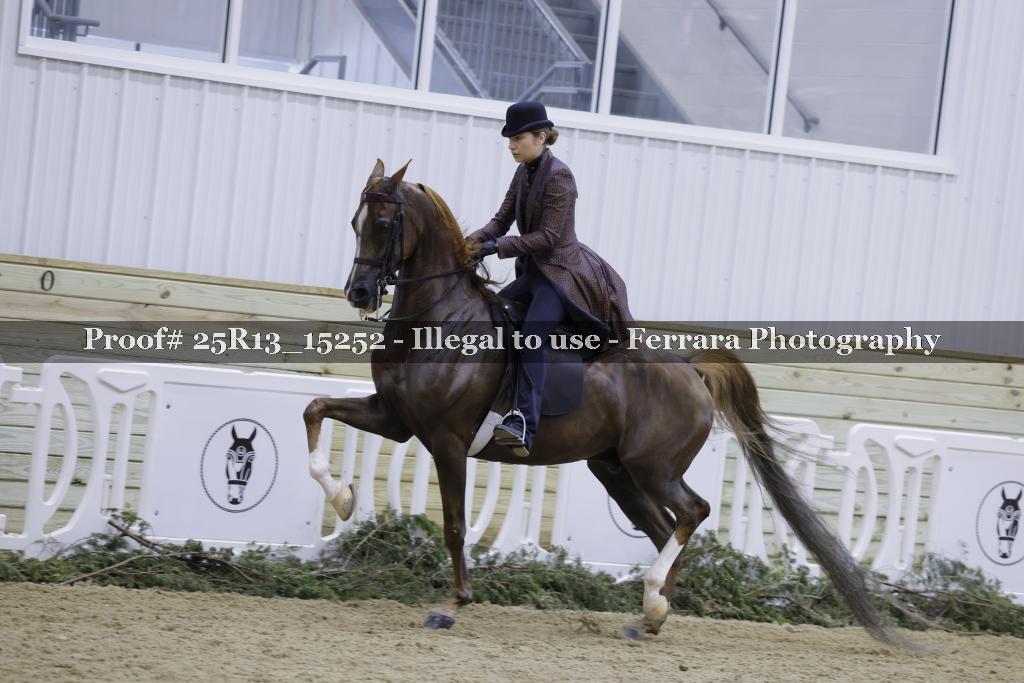 Proof 25R13_15252