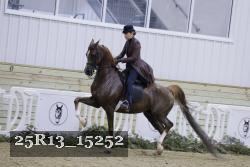 25R13_15252 proof