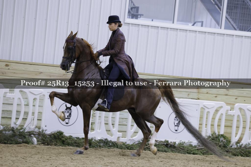 Proof 25R13_15253