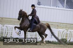 25R13_15253 proof