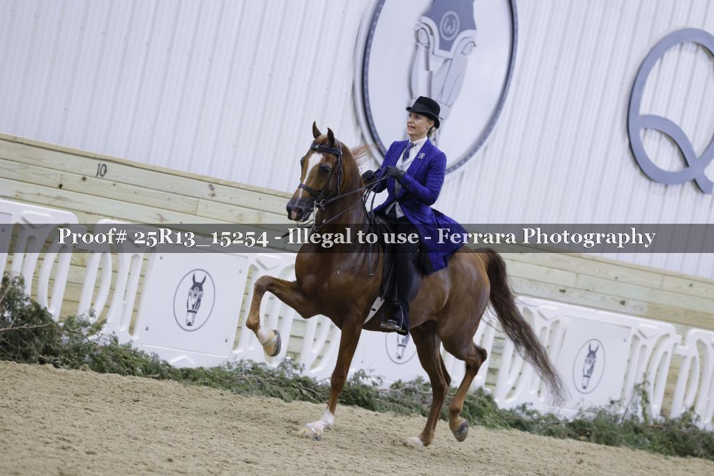 Proof 25R13_15254