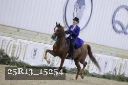 25R13_15254 proof