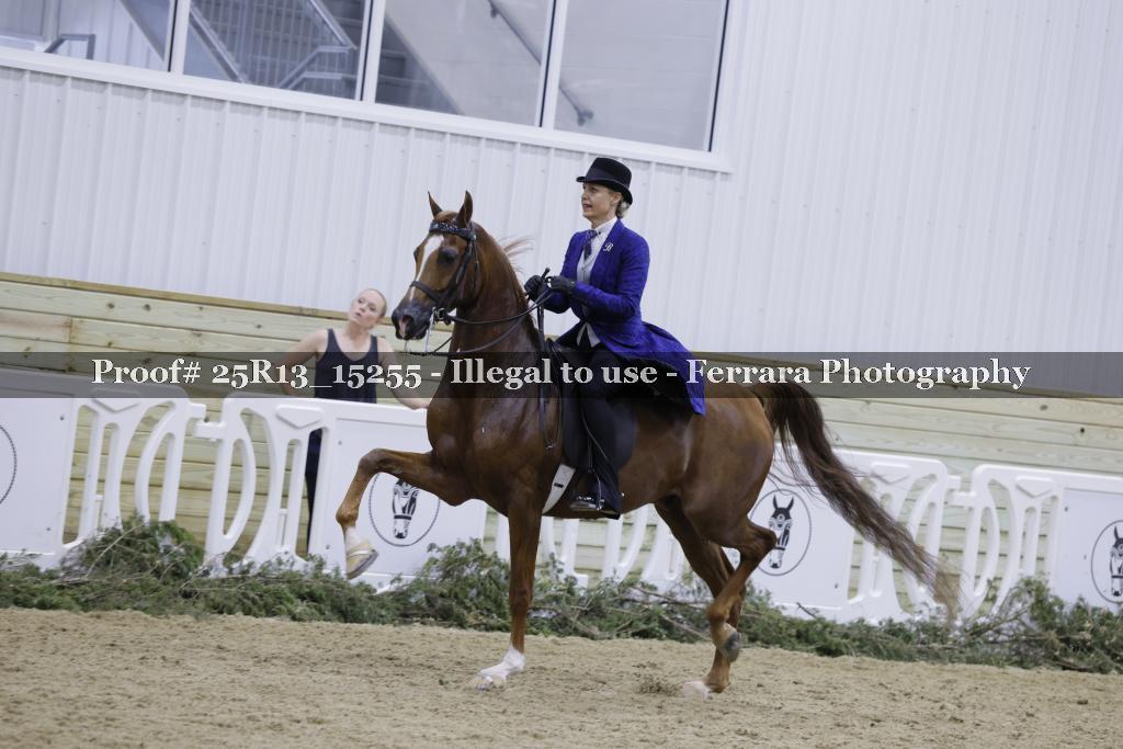 Proof 25R13_15255