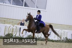 25R13_15255 proof