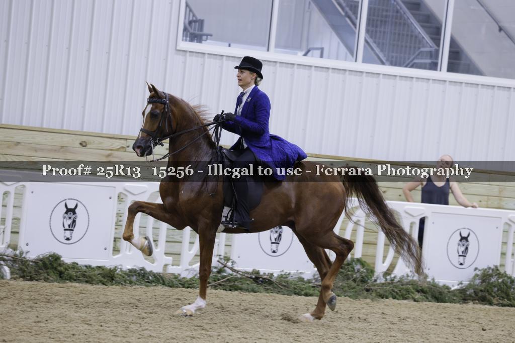 Proof 25R13_15256