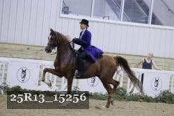 25R13_15256 proof