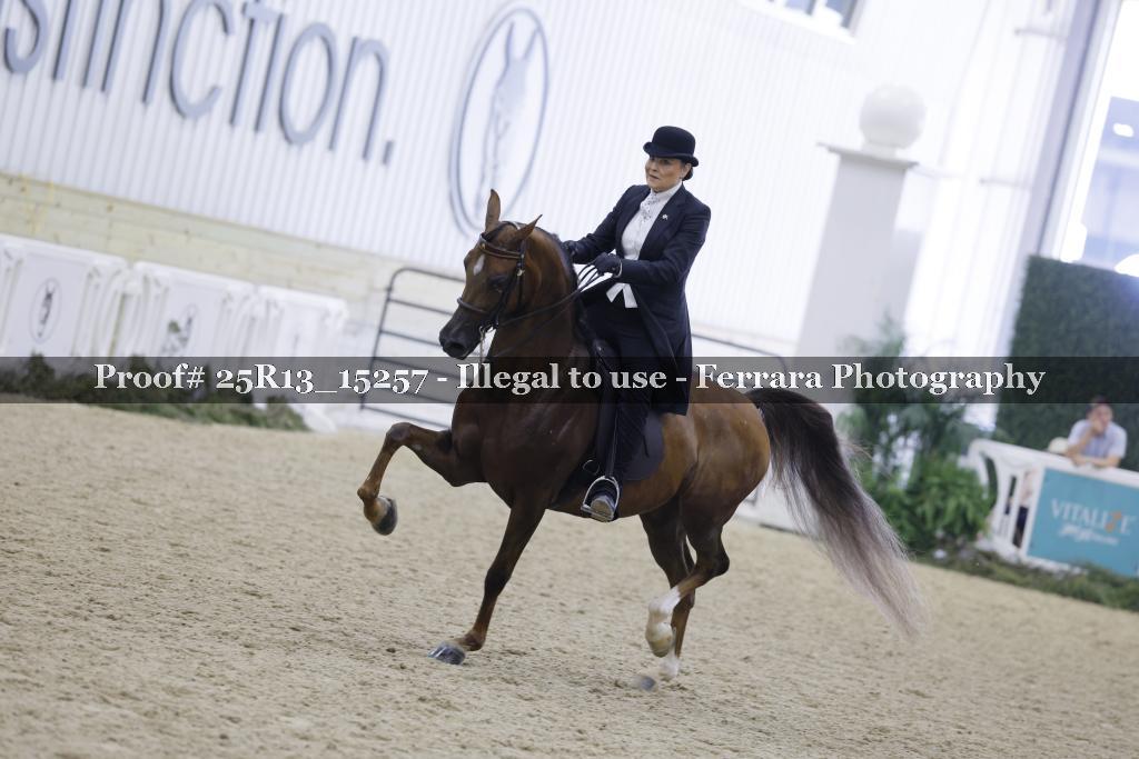 Proof 25R13_15257