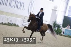 25R13_15257 proof