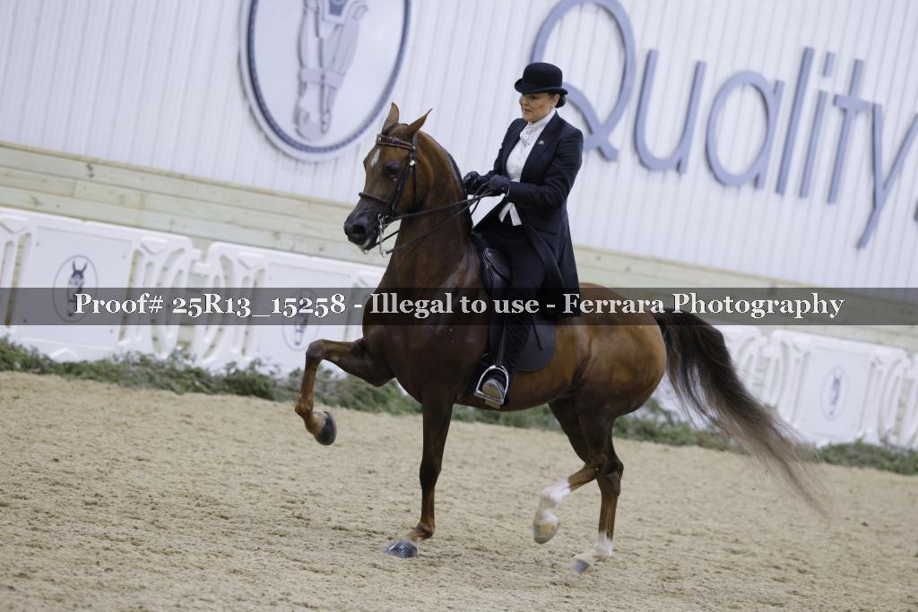 Proof 25R13_15258