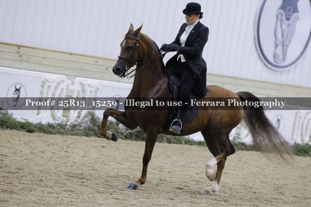 Proof 25R13_15259