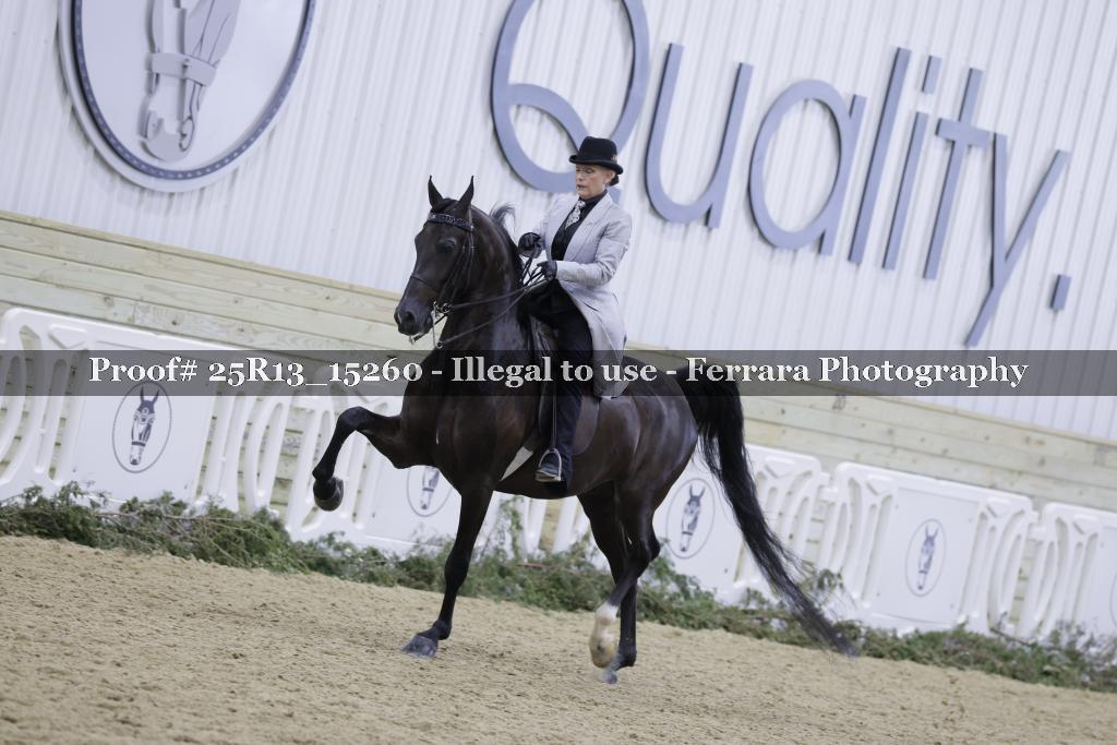 Proof 25R13_15260