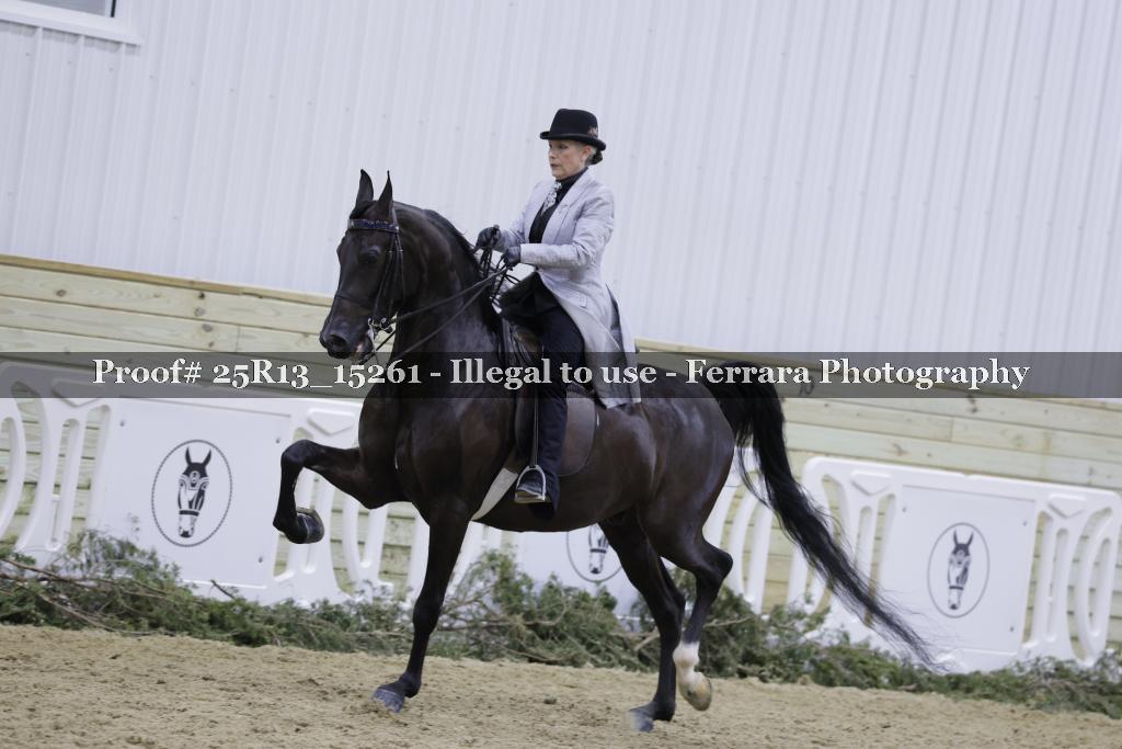 Proof 25R13_15261