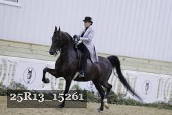 25R13_15261 proof