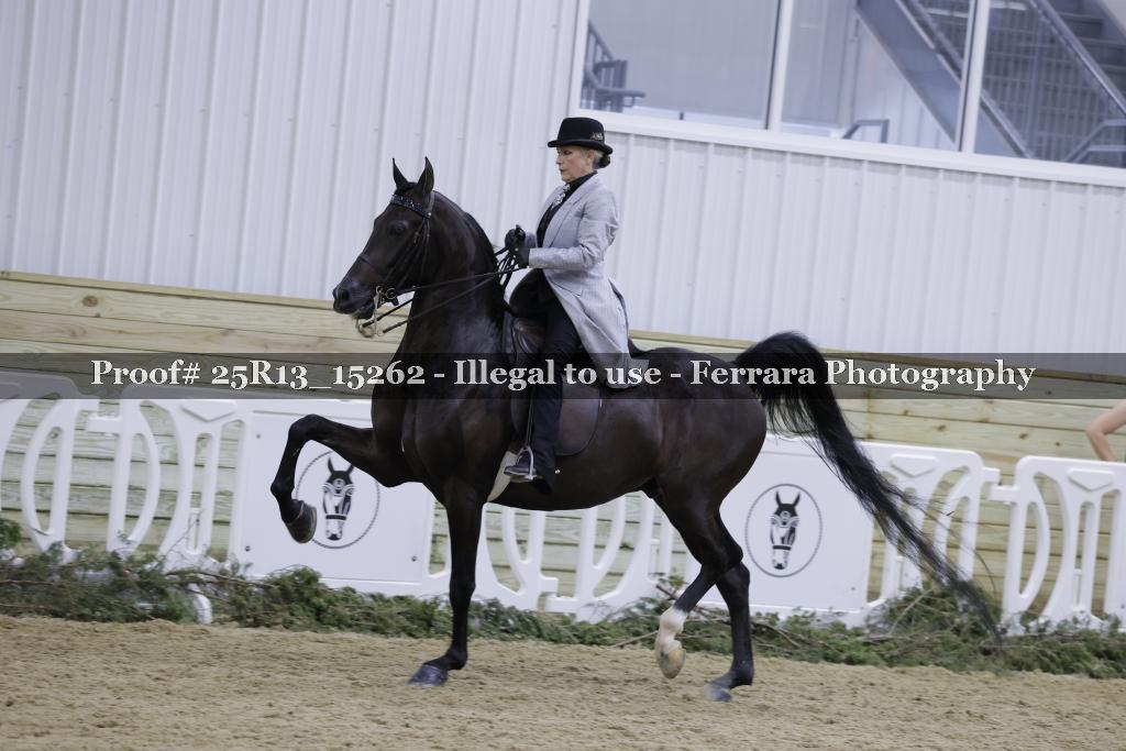 Proof 25R13_15262
