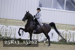 25R13_15262 proof