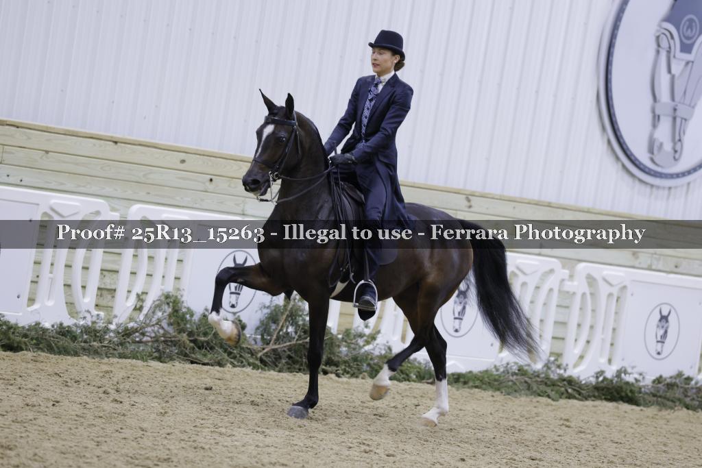 Proof 25R13_15263
