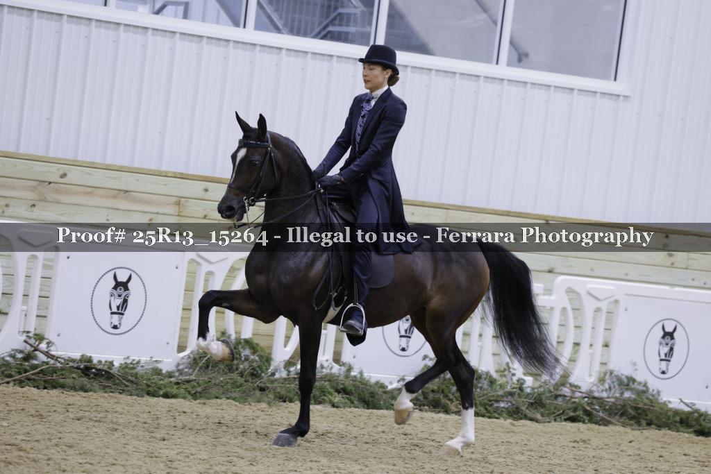 Proof 25R13_15264