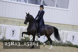 25R13_15264 proof