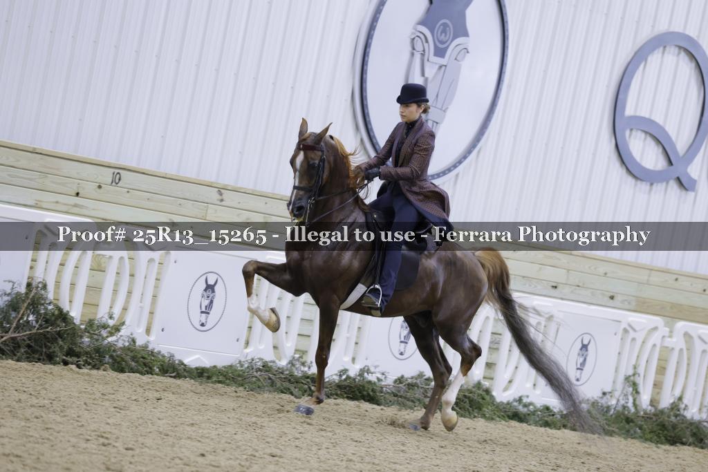Proof 25R13_15265