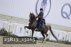 25R13_15265 proof