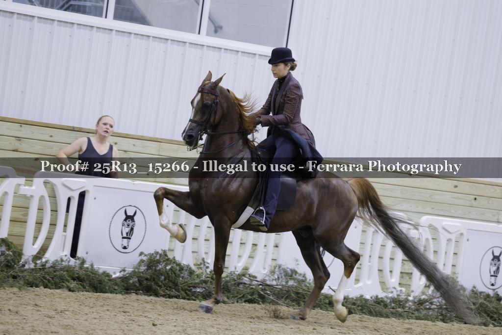 Proof 25R13_15266