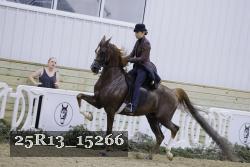 25R13_15266 proof