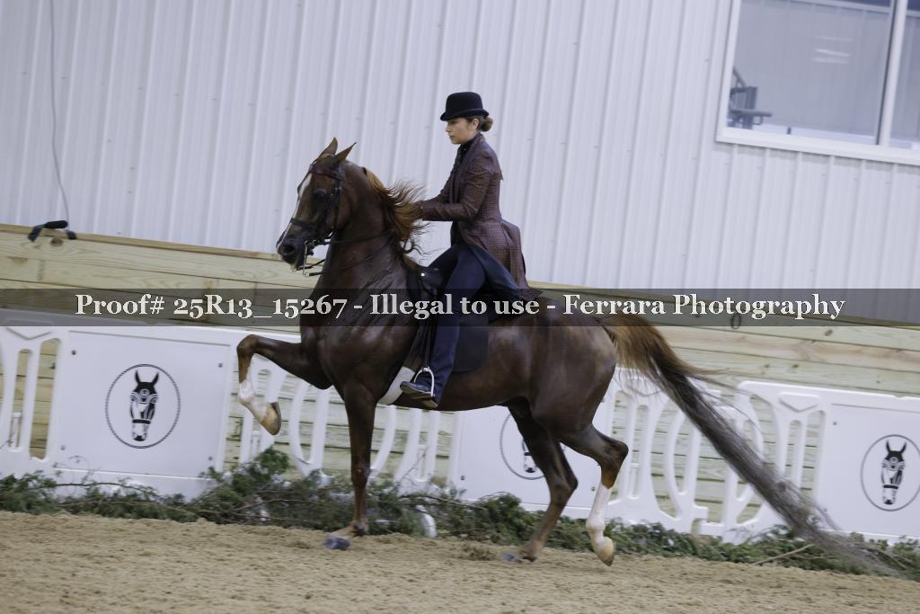 Proof 25R13_15267