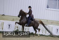 25R13_15267 proof