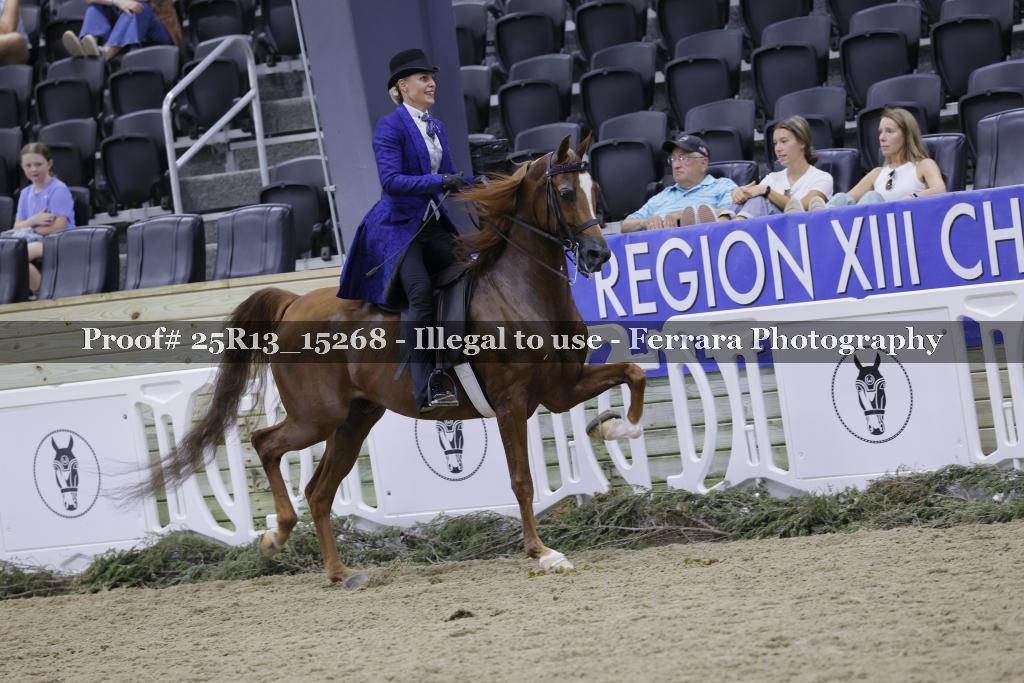 Proof 25R13_15268