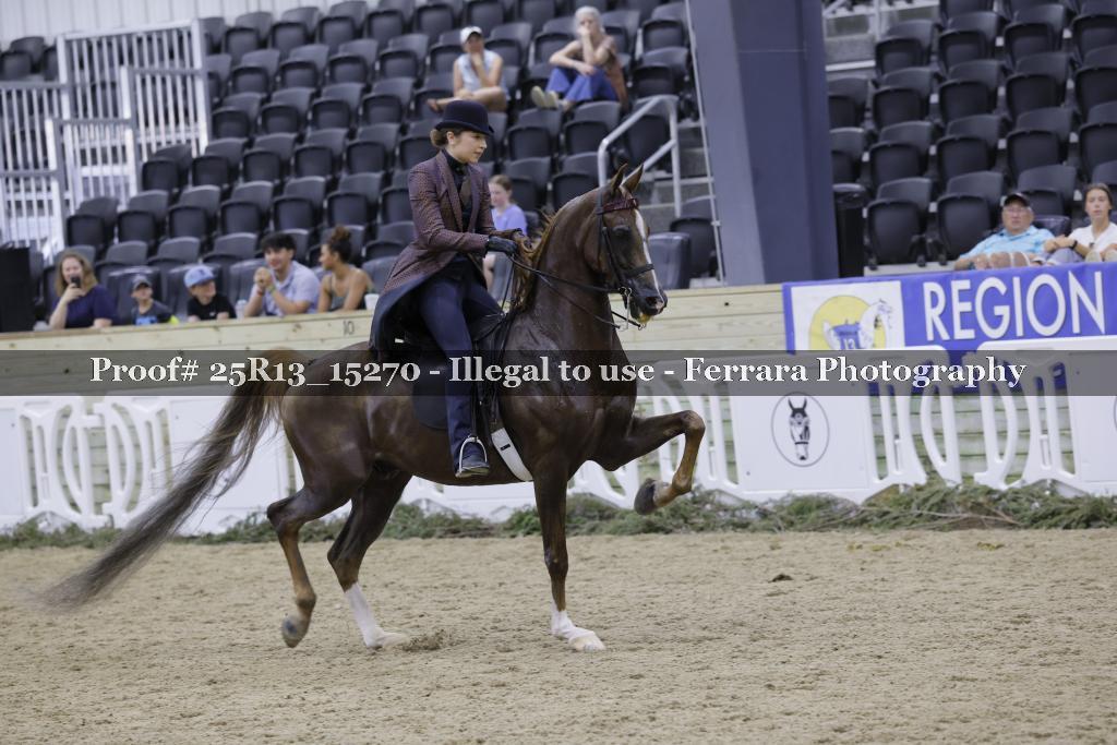 Proof 25R13_15270