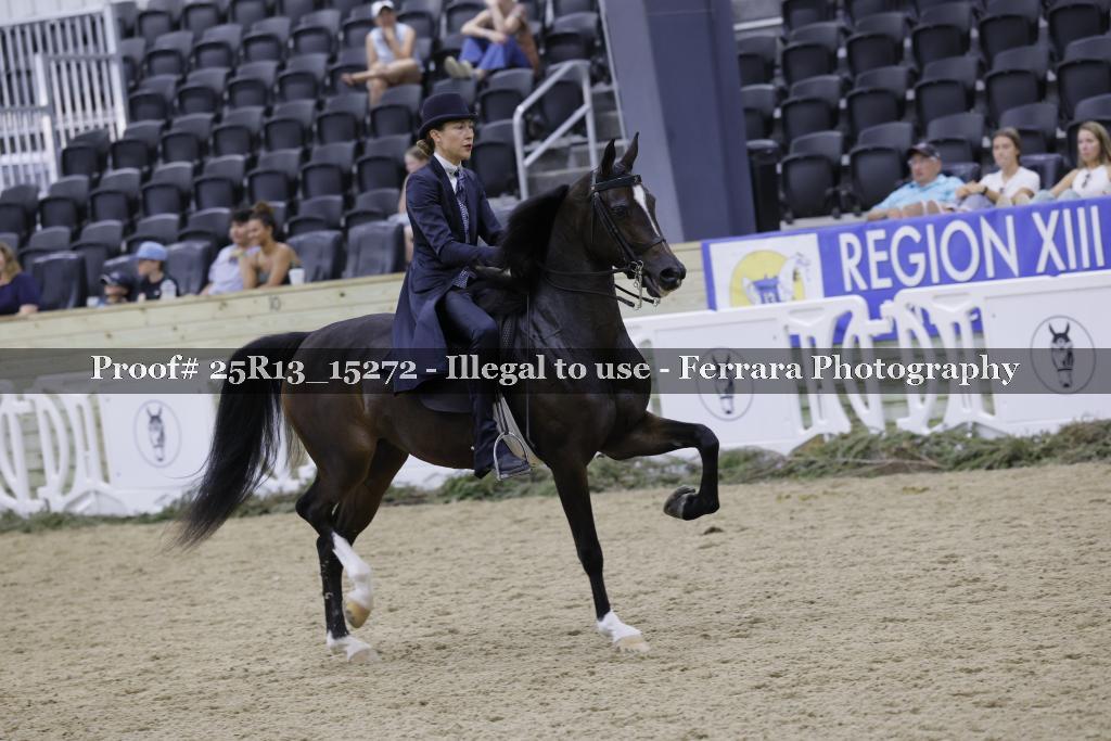 Proof 25R13_15272