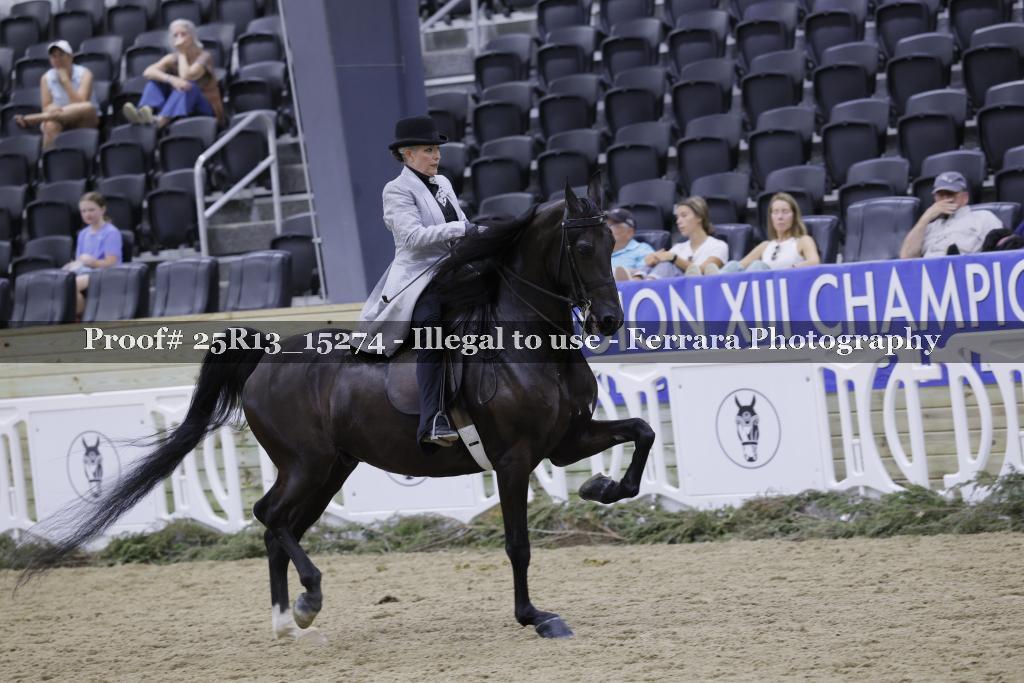Proof 25R13_15274
