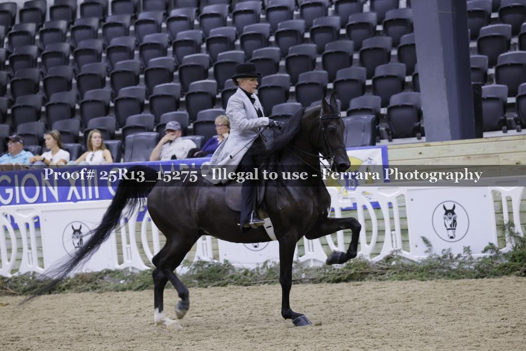 Proof 25R13_15275