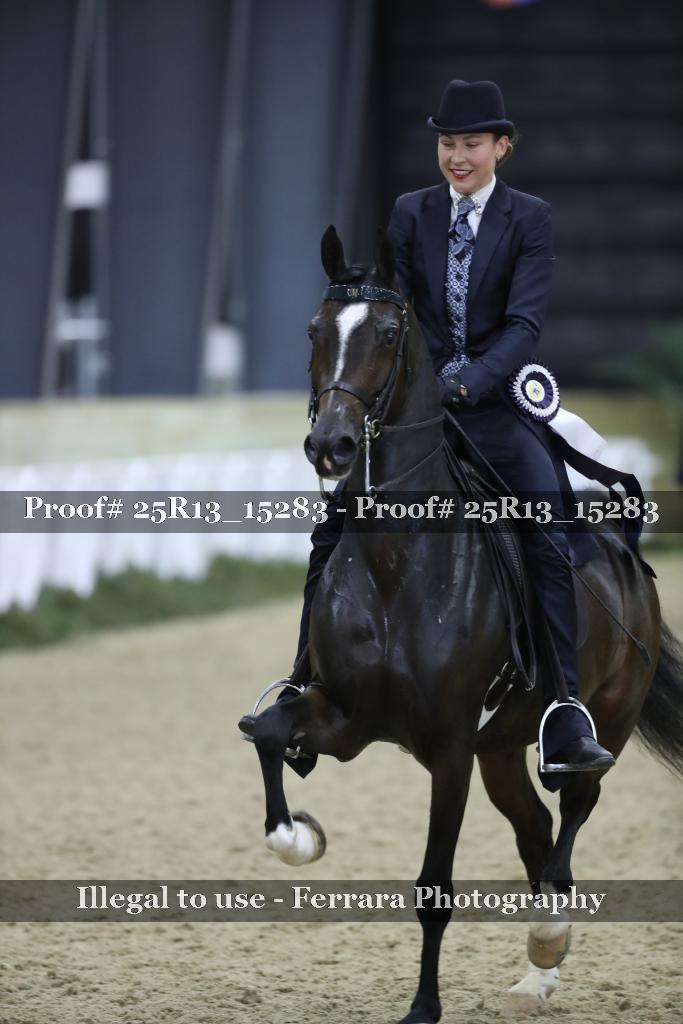Proof 25R13_15283