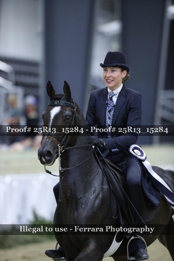 Proof 25R13_15284