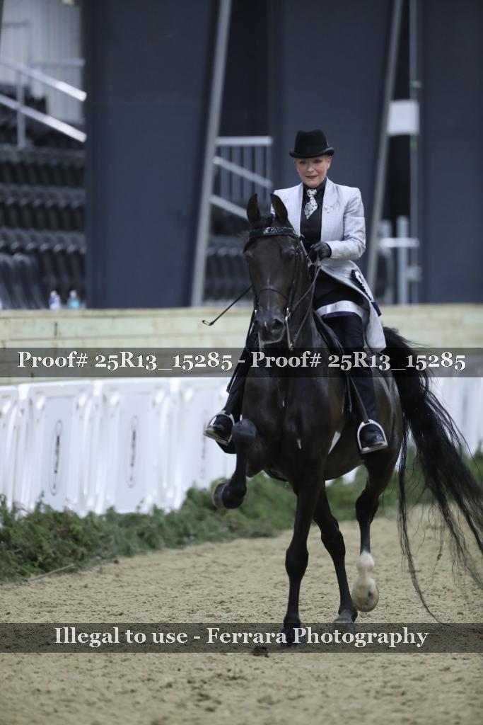 Proof 25R13_15285