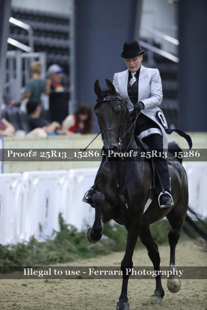 Proof 25R13_15286