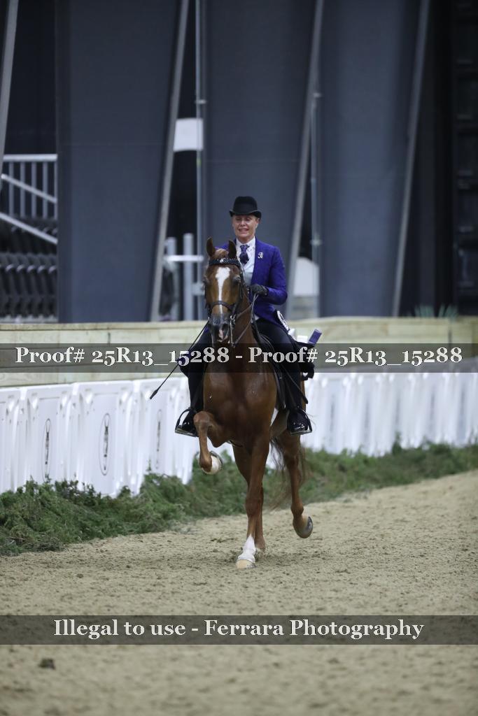Proof 25R13_15288