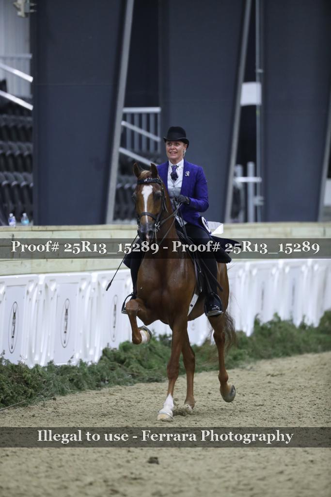 Proof 25R13_15289